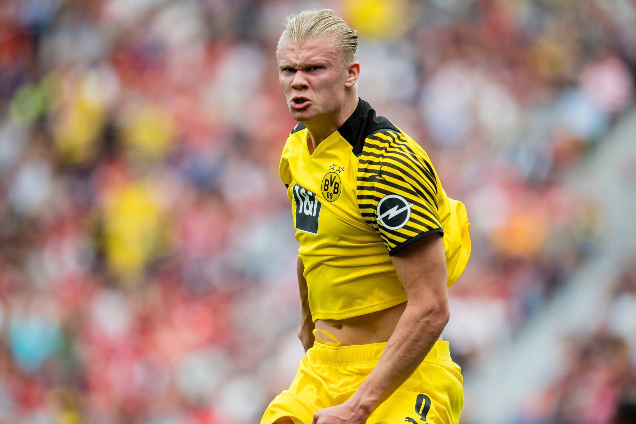 提早半拍 提早半拍